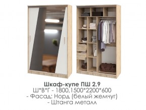 шкаф-купе ПШ-2.9 1500 Норд Белый жемчуг 1500 в Покачах - pokachi.magazin-mebel74.ru | фото