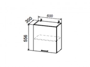 Шкаф верхний ДП600 с 1ой дверкой в Покачах - pokachi.magazin-mebel74.ru | фото