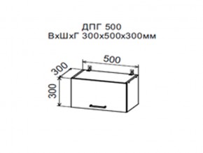Шкаф верхний ДПГ500 горизонтальный в Покачах - pokachi.magazin-mebel74.ru | фото