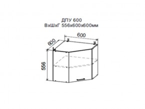 Шкаф верхний ДПУ600 угловой в Покачах - pokachi.magazin-mebel74.ru | фото
