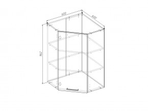 ВУ9 Модуль верхний Угловой в Покачах - pokachi.magazin-mebel74.ru | фото